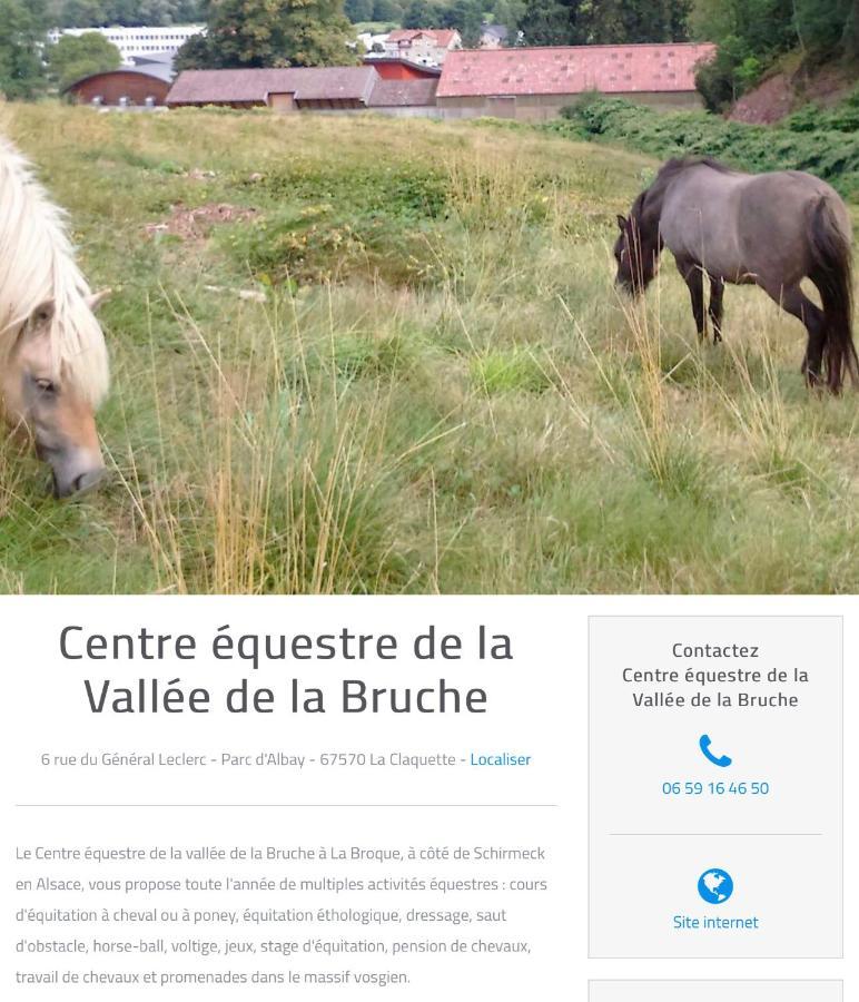 Le Gite Du Chateau Dans Le Centre De Schirmeck Exteriör bild