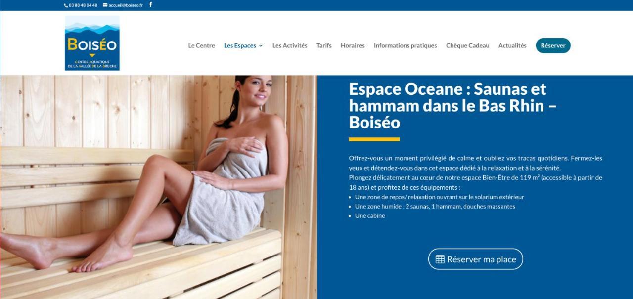 Le Gite Du Chateau Dans Le Centre De Schirmeck Exteriör bild